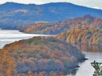 stunning-view-of-islands-of-loch-lomond-covered-by-forests-in-autumn-colours