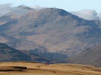 view-of-arrochar-alps-and-peatland-expanse-from-summit-of-beinn-dubh-on-west-loch-lomond