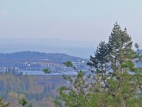 benmore-botanic-gardens-viewpoint-landscape-of-firth-of-clyde-in-the-distance-over-tree-tops