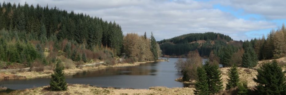 callander-crags-landscape-small-lochan-surrounded-by-coniferous-forest