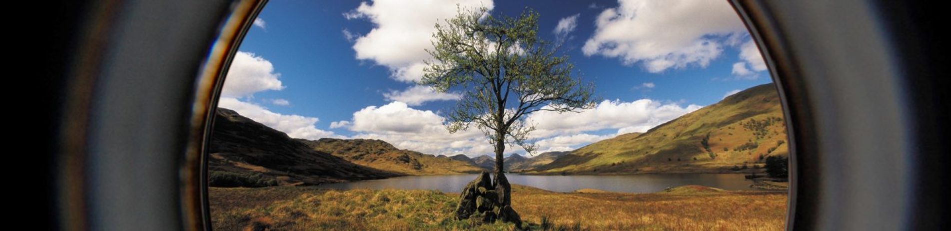 lonely-young-tree-with-stunning-loch-arklet-and-arrochar-alps-in-the-distance-seen-through-camera-lenses