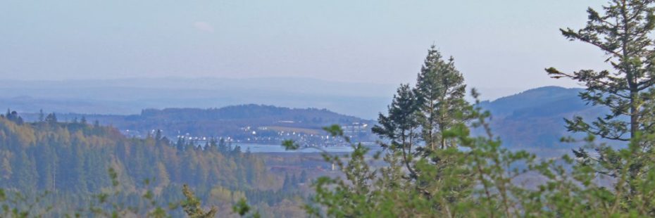 view-of-firth-of-clyde-over-tree-tops-from-summit-of-benmore-botanic-gardens-in-cowal-peninsula