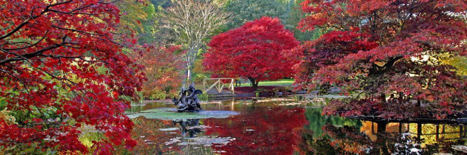 benmore-botanic-gardens-stunning-autumn-colours-acer-trees-bright-red-over-pond-with-statue-in-middle