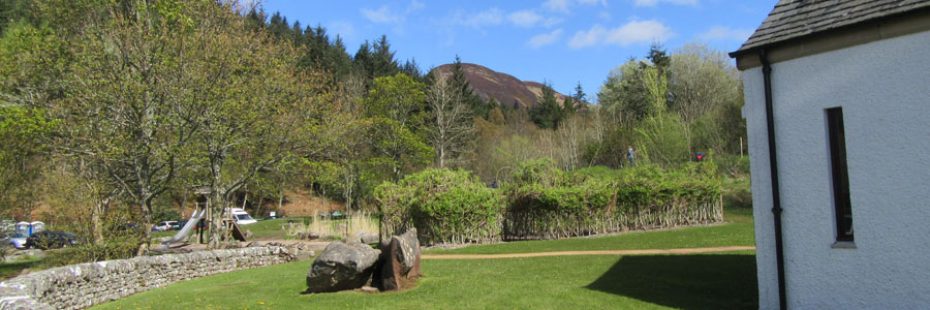 conic-hill-seen-over-forest-top-from-balmaha-visitor-centre-grounds