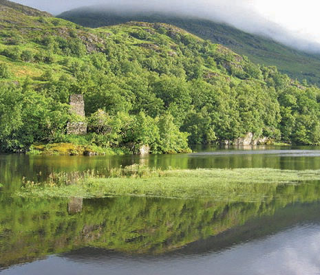 dochart-castle-on-small-island-on-loch-dochart-with-lush-forested-hill-behind