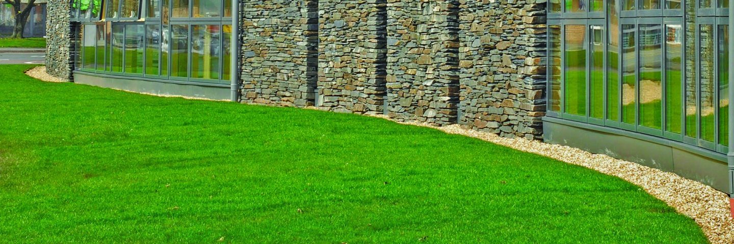 zoomed-in-detail-of-carrochar-national-park-headquarters-building-focusing-on-grass-outside-and-slates-in-the-wall-and-high-narrow-windows