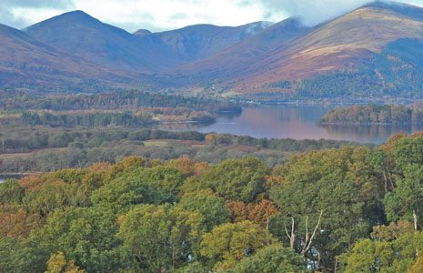 stunning-view-of-loch-lomond-forested-islands-and-luss-hills-from-inchcailloch-island-summit