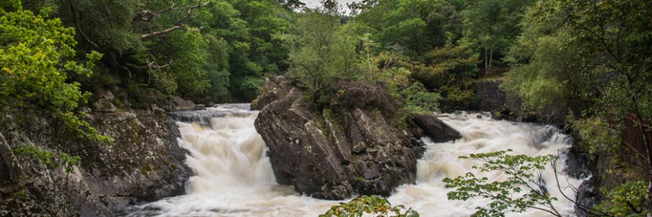 leny-falls-strong-torrents-surrounded-by-lush-trees-with-branches-hanging-over