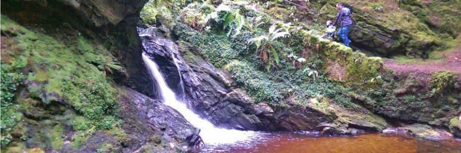 pucks-glen-waterfall-surrounded-by-rocky-walls-and-moss-man-with-child-climbing-steps-behind