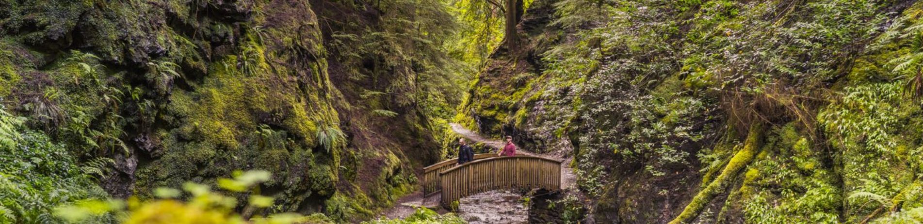 two-men-crossing-bridge-over-stream-in-green-lush-forest-in-pucks-glen