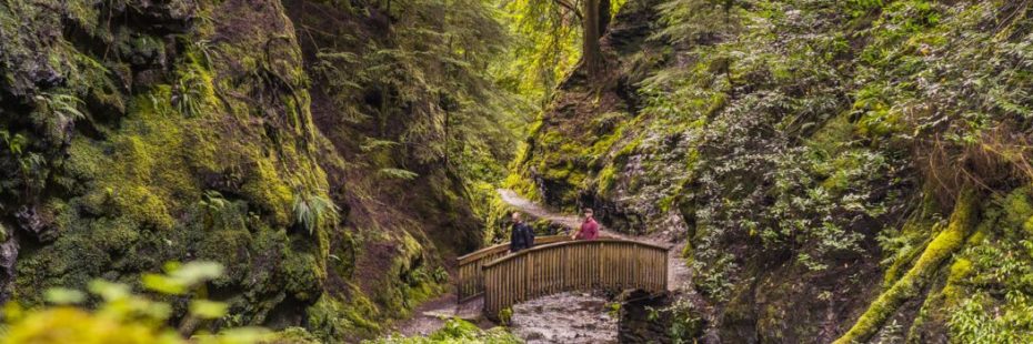 two-men-crossing-bridge-over-stream-in-green-lush-forest-in-pucks-glen