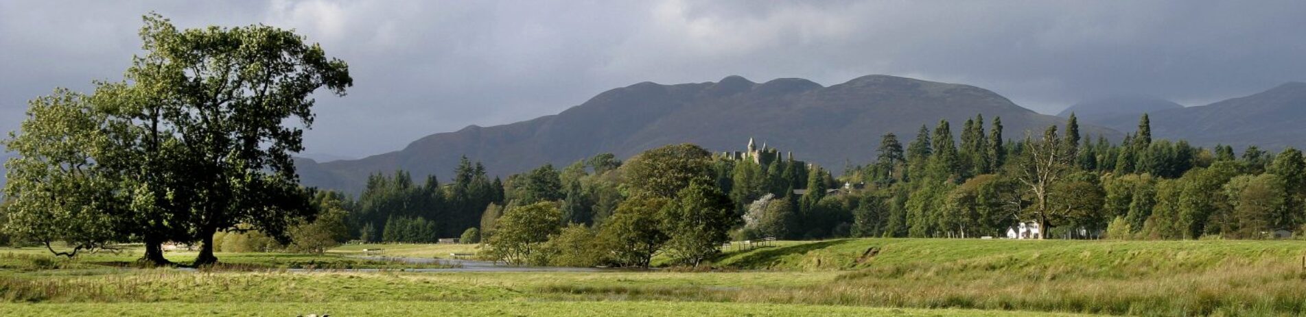 panorama-of-fields-and-forest-in-drymen-with-conic-hill-towering-above