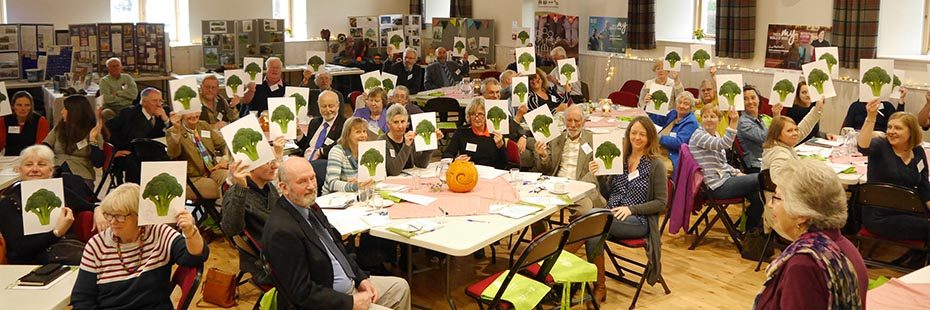 community-meeting-dozens-of-seated-people-at-tables-with-broccoli-cards-raised-in-the-air