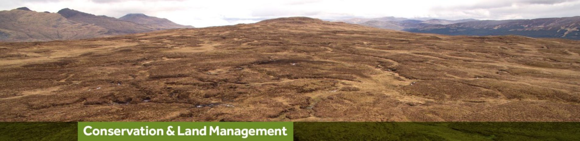 peatland-header-text-reads-conservation-and-land-management