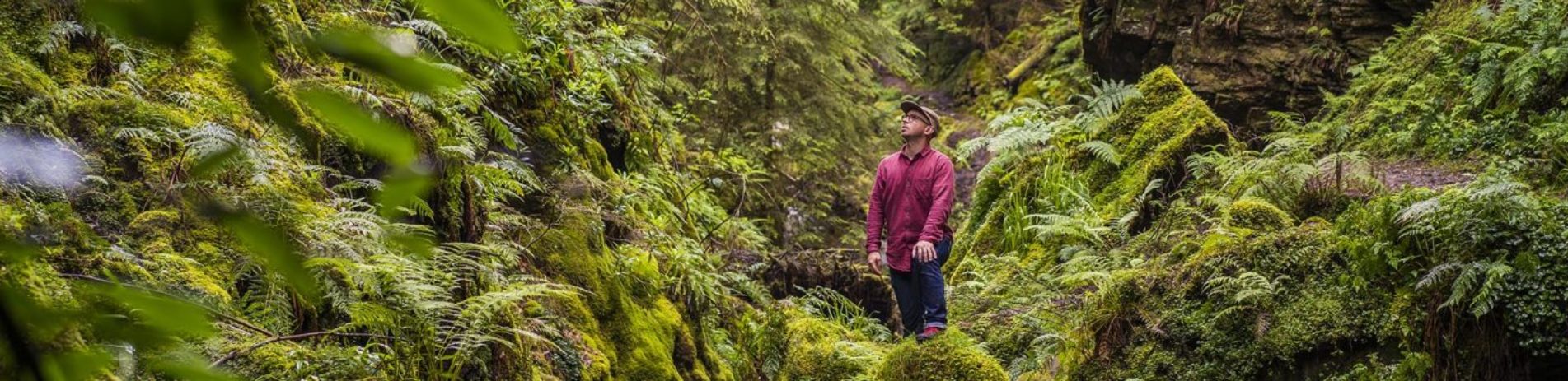 man-in-red-shirt-looking-up-in-lush-green-forest