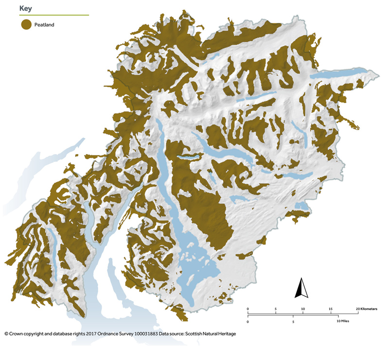 map-showing-peatland-coverage