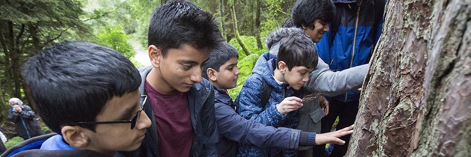 group-of-male-students-touching-tree-in-forest