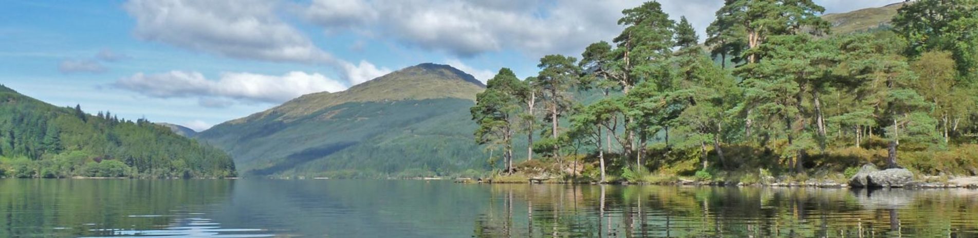 loch-eck-with-stunning-forests-on-hills-surrounding-it-and-prominent-patch-of-scots-pines-on-right-by-the-shore