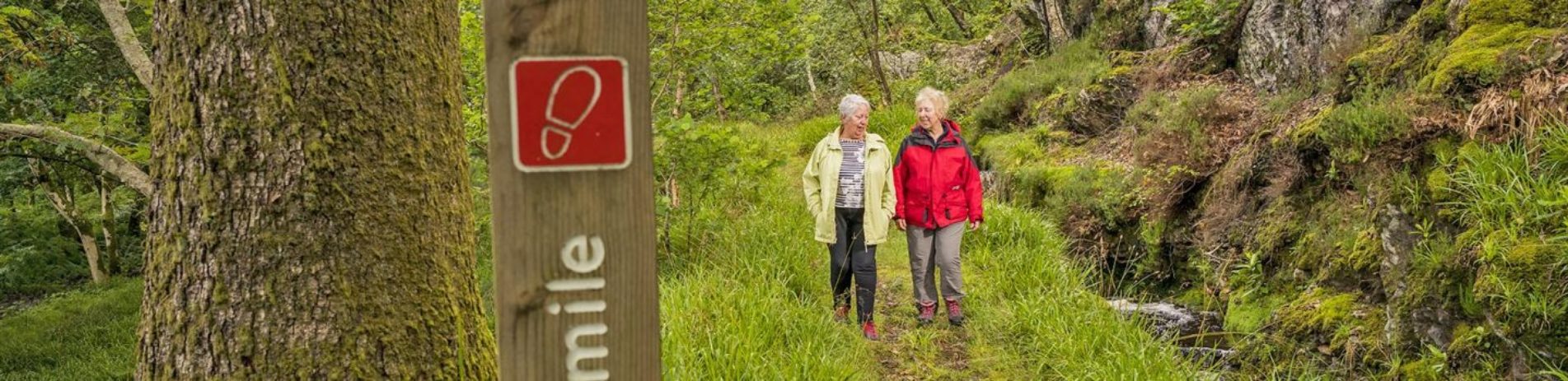 two-elderly-ladies-dressed-in-colourful-outdoor-gear-walking-on-path-in-lush-green-forest-at-ardentinny