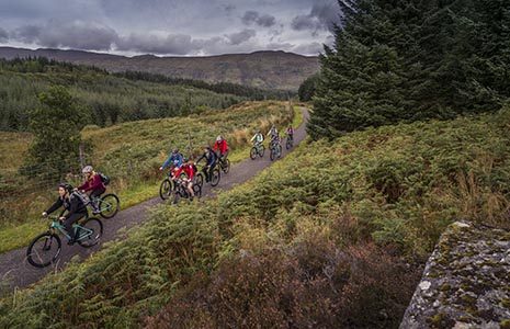 group-of-young-cyclists-wearing-helmets-on-their-bikes-on-national-cycle-route-number-seven-in-glen-ogle-near-the-viaduct-coniferous-forests-on-the-right-and-behind them