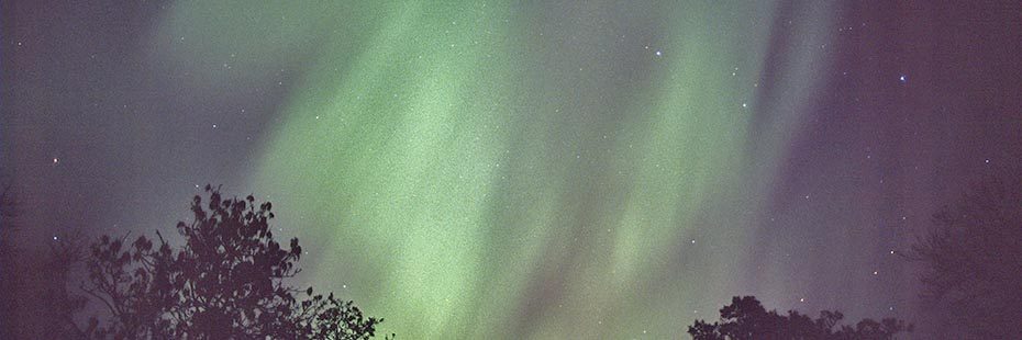 aurora-borealis-or-northern-lights-seen-above-the-woods-at-gallowhill-perthshire