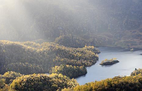loch-katrine-covered-on-its-shores-by-beautiful-native-woods-part-of-the-great-trossachs-forest-a-small-island-is-visible-on-the-right-and-everything-is-lit-by-rays-of-sun