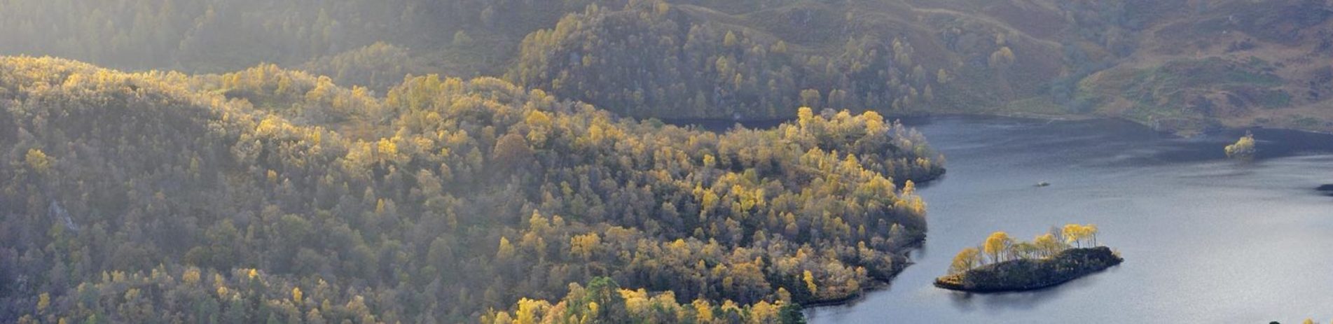 loch-katrine-covered-on-its-shores-by-beautiful-native-woods-part-of-the-great-trossachs-forest-a-small-island-is-visible-on-the-right-and-everything-is-lit-by-rays-of-sun