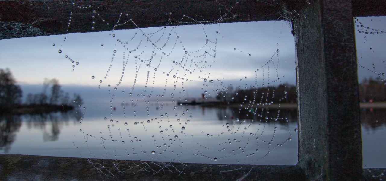 young-people-photo-competition-image-of-loch-lomond-at-dusk-in-shades-of-blue-and-grey-seen-through-a-beady-spider-web