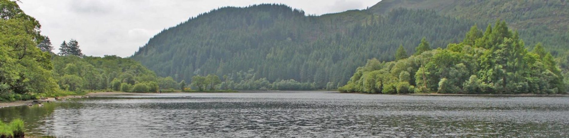 loch-chon-with-wooded-shores-and-island-prominent-seen-from-the-campsite-beach