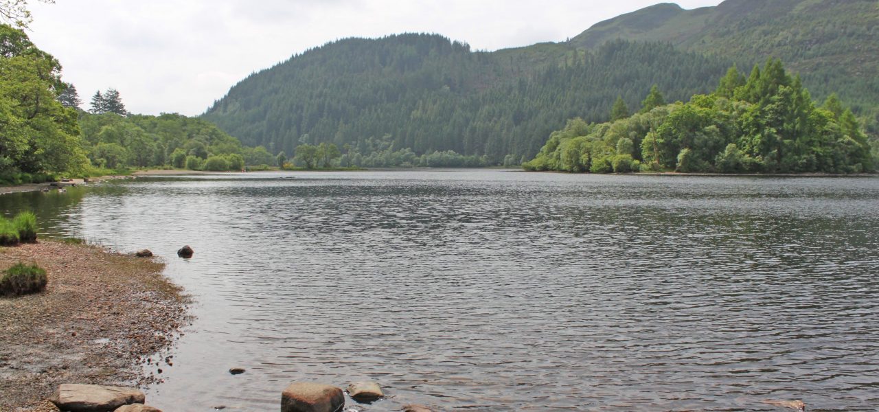 loch-chon-with-wooded-shores-and-island-prominent-seen-from-the-campsite-beach