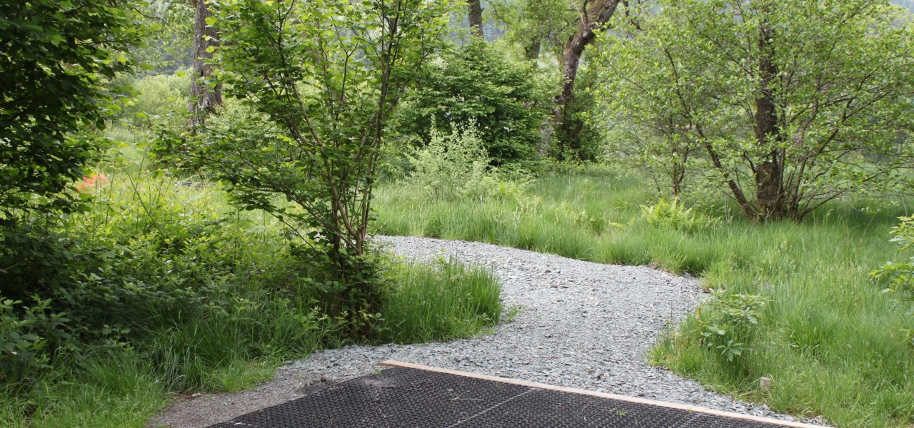 loch-chon-campsite-pitch-number-ten-rubber-mat-for-pitching-tent-surrounded-by-young-trees-and-path-leading-to-it