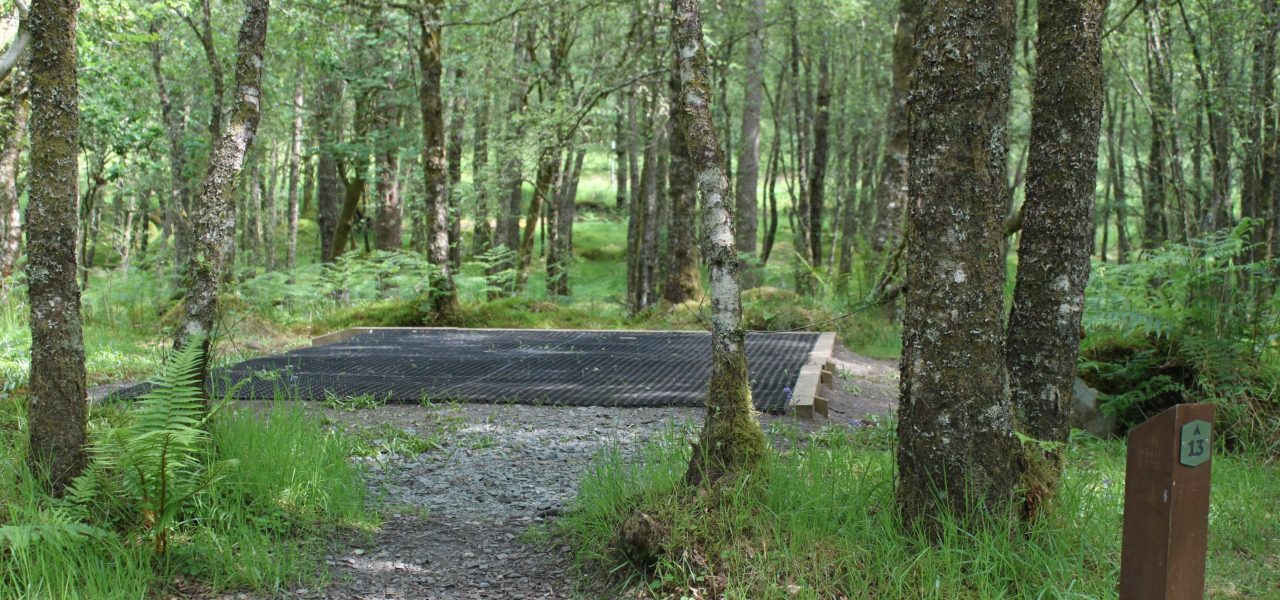 loch-chon-campsite-pitch-number-thirteen-rubber-mat-for-pitching-tent-surrounded-by-young-trees