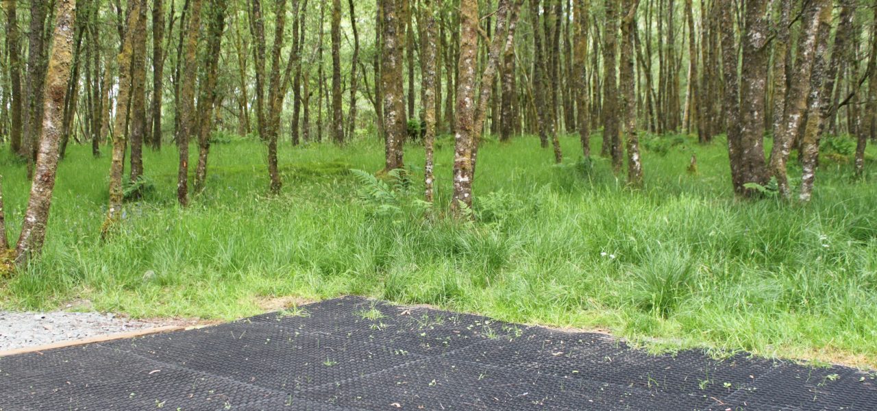 loch-chon-campsite-pitch-number-sixteen-rubber-mat-for-pitching-tent-surrounded-by-young-trees