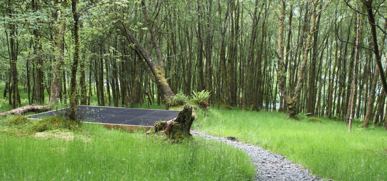 loch-chon-campsite-pitch-number-eighteen-rubber-mat-for-pitching-tent-surrounded-by-young-trees