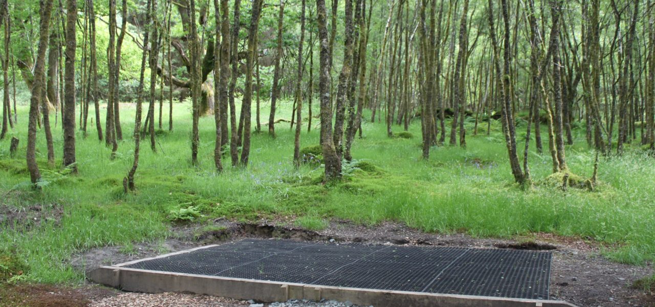 loch-chon-campsite-pitch-number-nineteen-rubber-mat-for-pitching-tent-surrounded-by-young-trees