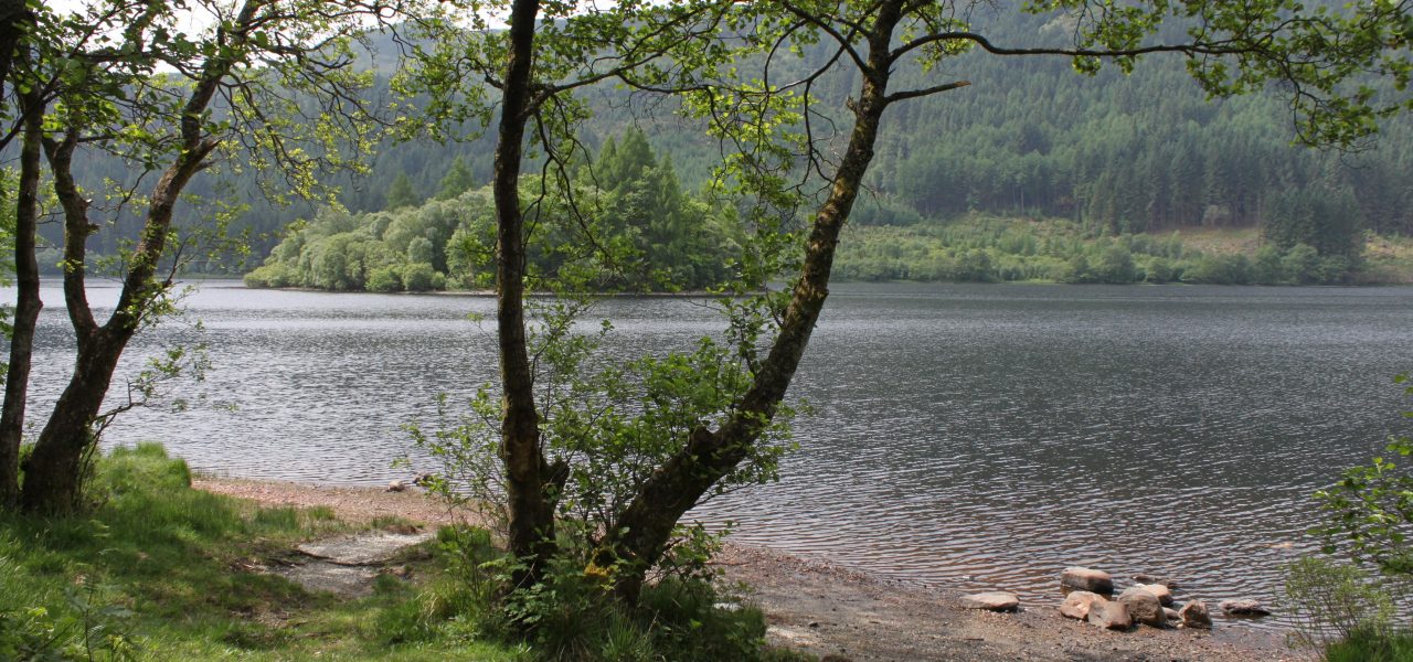 loch-chon-campsite-pitch-number-twenty-one-stunning-view-of-loch-chon-with-wooded-island-and-forests-behind