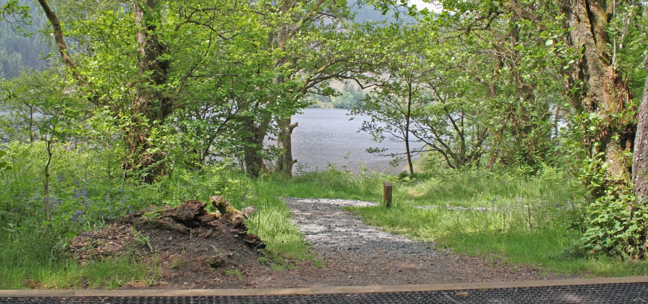 loch-chon-campsite-pitch-number-twenty-two-rubber-mat-for-pitching-tent-with-loch-visible-behind-trees