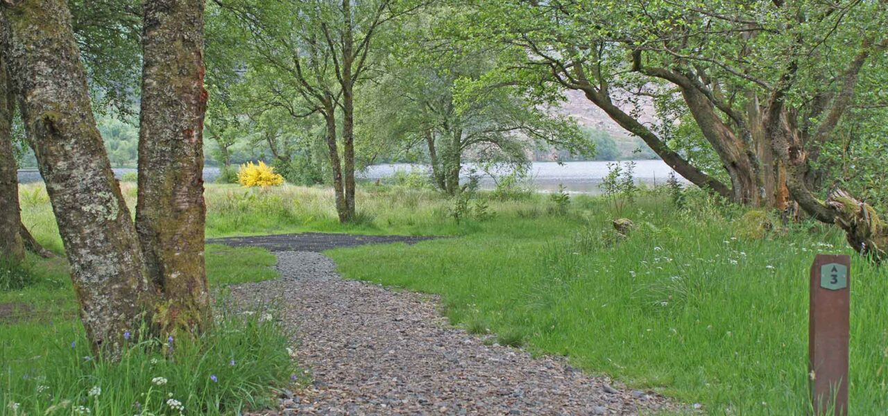 loch-chon-campsite-pitch-number-three-gravel-path-leading-to-rubber-mat-for-pitching-tent-surrounded-by-trees-and-loch-visible-in-the-back