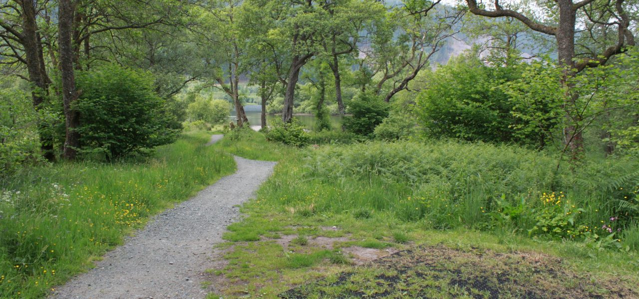 loch-chon-campsite-pitch-number-eight-rubber-mat-for-pitching-tent-covered-by-grass-next-to-level-path-leading-to-loch-just-visible-in-the-distance