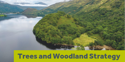 trees-and-woodlands-writing-in-a-box-against-lush-green-wooded-loch-lomond-shore-with-mountains-visible-in-the-back-above-wisps-of-clouds