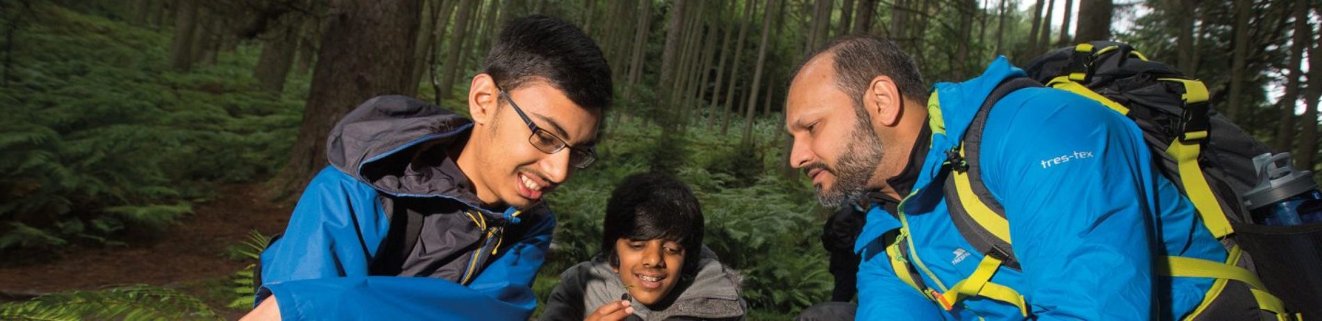 two-young-school-children-and-teacher-looking-down-at-something-the-teacher-is-showing-them-close-to-the-forest-floor-they-are-surrounded-by-trees-and-ferns