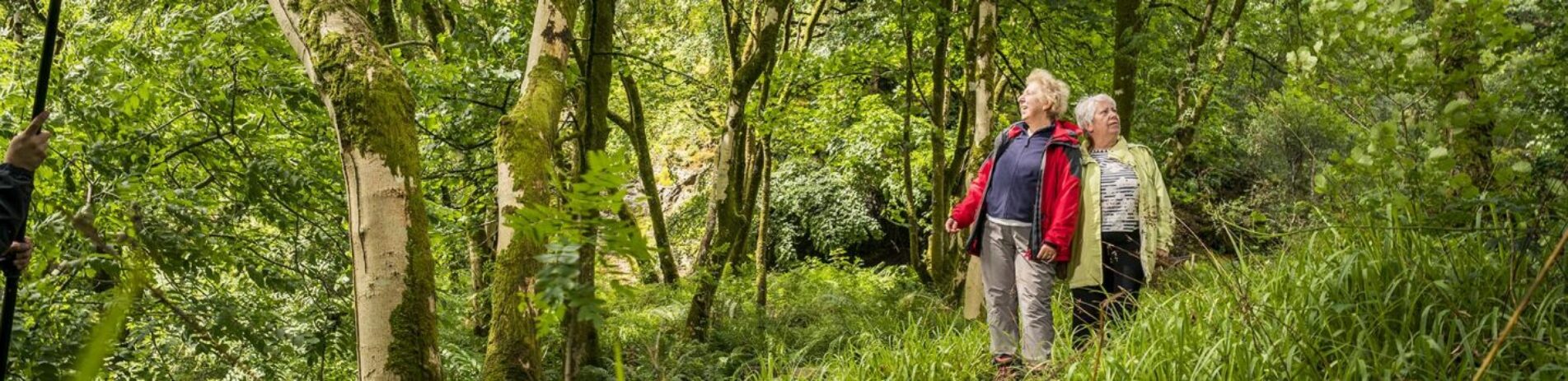 two-elderly-ladies-dressed-in-colourful-jackets-looking-fascinated-around-them-in-a-lush-green-forest