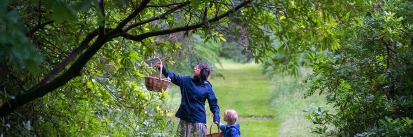 woman-with-small-child-holding-wicker-baskets-foraging-at-the-edge-of-forest