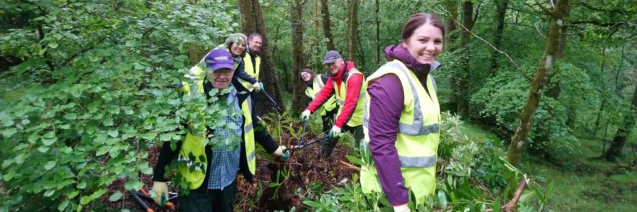 members-of-the-national-park-board-removing-non-native-invasive-species-in-callander-woods