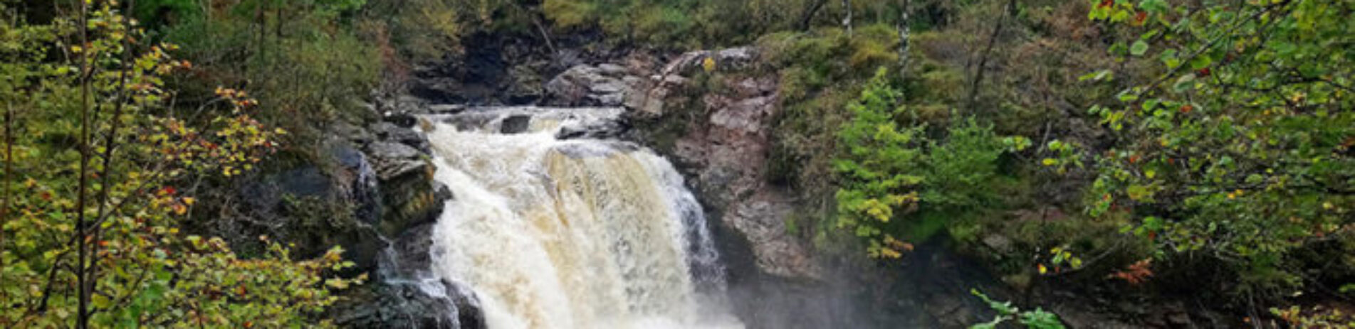 falls-of-falloch-surrounded-by-green-forest