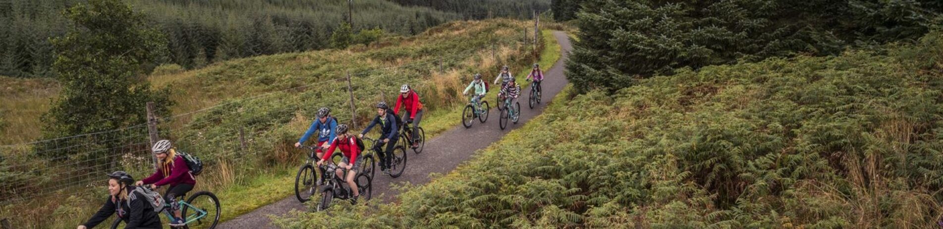 group-of-children-cycling-on-path-surrounded-by-trees-and-high-ferns