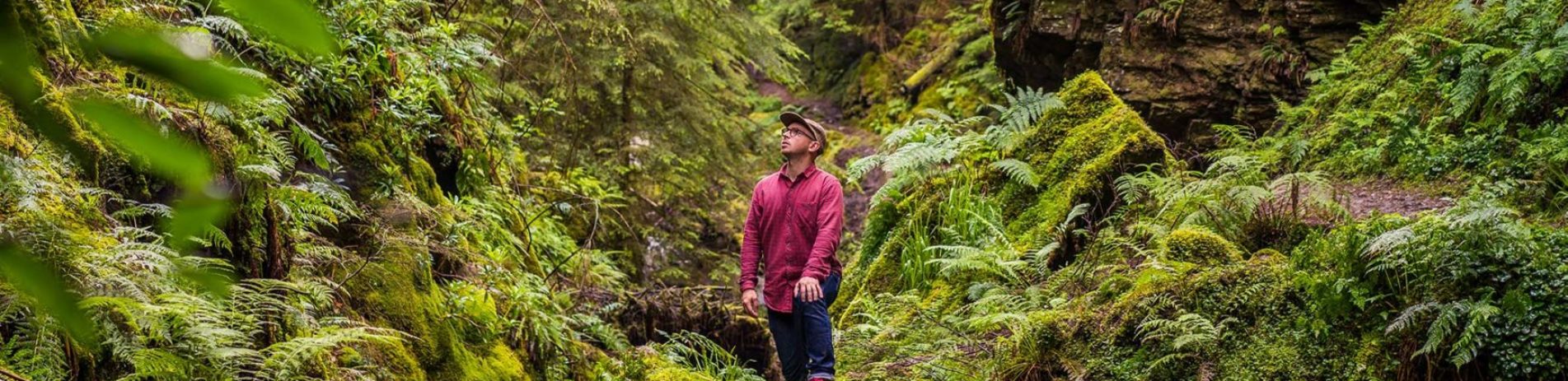 man-in-red-shirt-admiring-view-in-the-forest-surrounded-by-lush-green-ferns-moss-and-trees