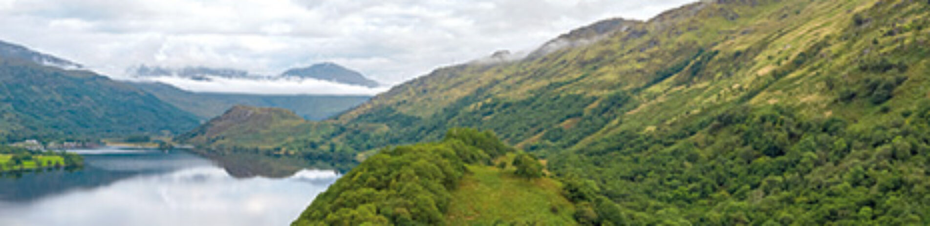 east_shore_north_loch_lomond-wooded-areas