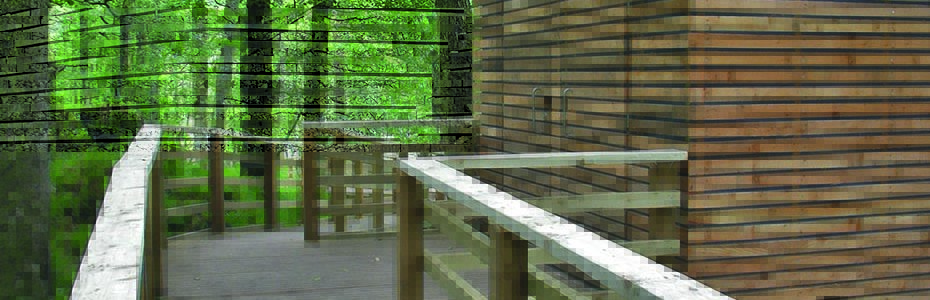 inchcailloch-composting-wooden-toilet-block-in-green-lush-forest