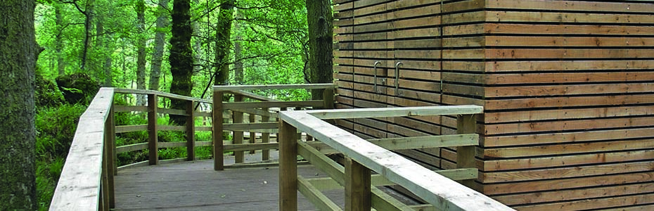 inchcailloch-composting-wooden-toilet-block-in-green-lush-forest